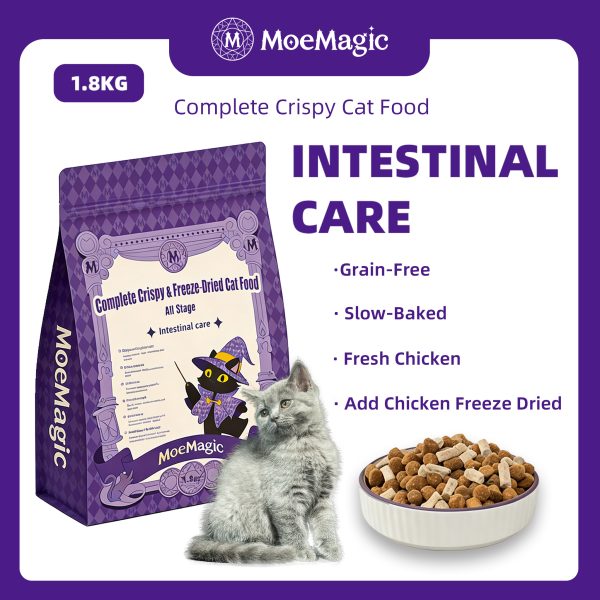 Best cat food for gastrointestinal problems Best cat food for gastrointestinal problems