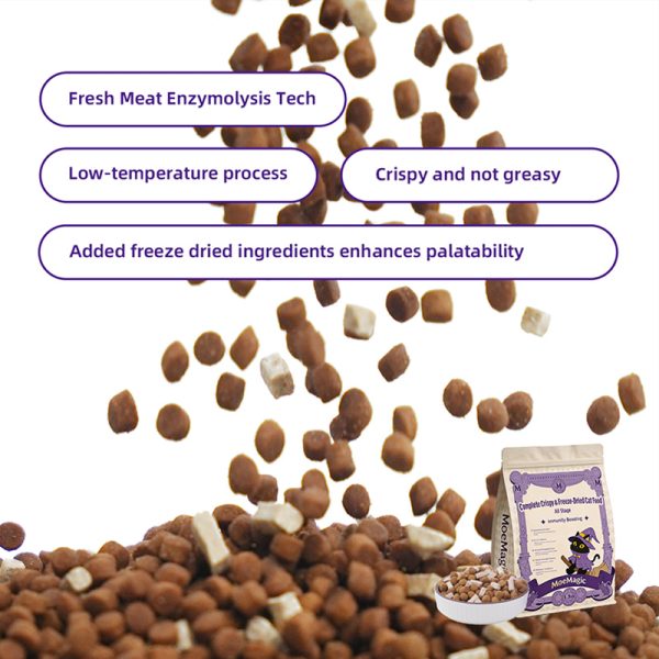 cat food with immunity food cat food with immunity food